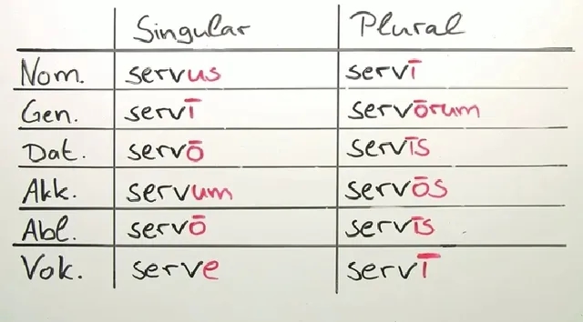 Der die das Bildung: So einfach ist die richtige Deklination