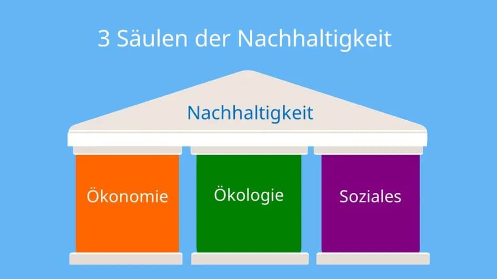 Politische Bildung, Wirtschaft und Ökologie: Schlüssel zu nachhaltigen Entscheidungen
